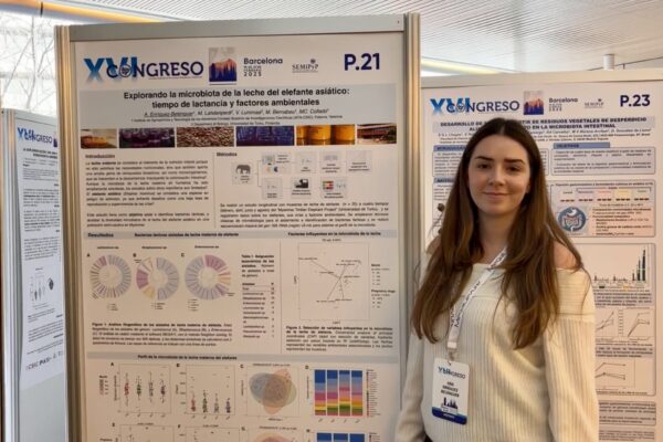 Ana Enríquez - Semipyp 25 - poster